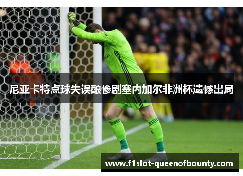 尼亚卡特点球失误酿惨剧塞内加尔非洲杯遗憾出局